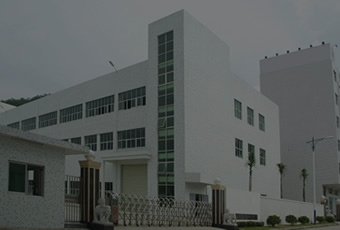 Company profile